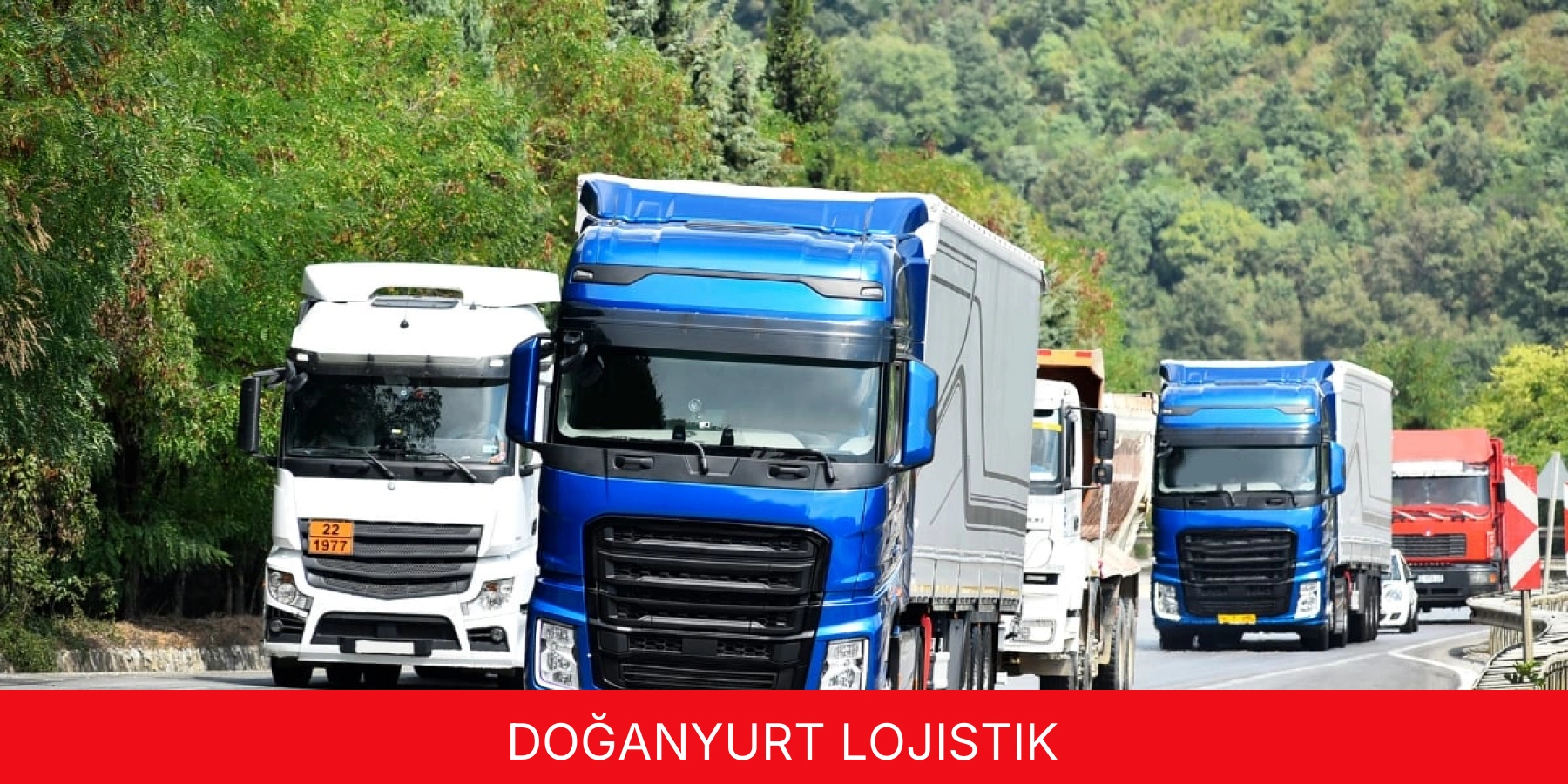 Doğanyurt Lojistik